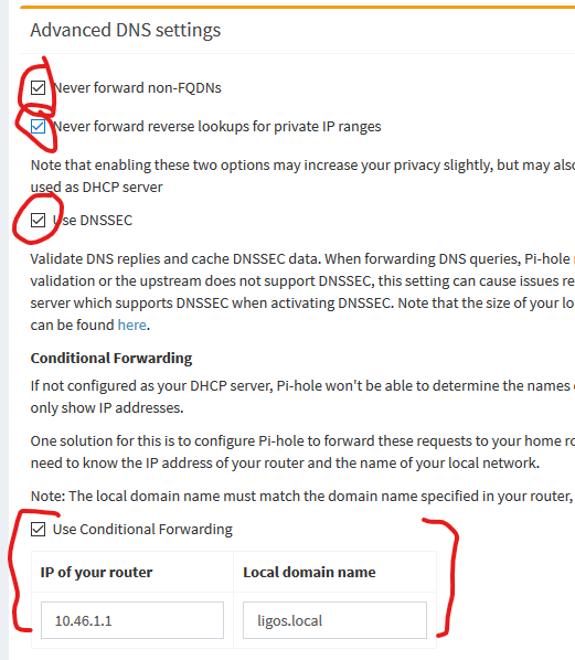 Advanced DNS Settings.