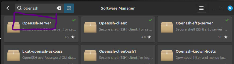 Openssh Server for remote access