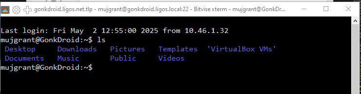 Remote Access via SSH